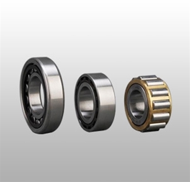 Cylindrical Roller Bearings